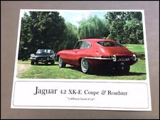 1967 jaguar 4.2 for sale  Red Wing