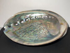 Haliotis iris Martyn, 1784 "PAUA ABALONE"   *POLISHED BEAUTY*  5” X 4” Stunning!, used for sale  Shipping to South Africa