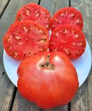 Sugar Bison (Saharnyj bizon) tomato, 15+ seeds, COMBINED SHIPPING na sprzedaż  Wysyłka do Poland