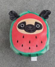 Prince watermelon pug for sale  BARROW-IN-FURNESS