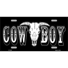 Cowboy longhorn skull for sale  Shipping to United Kingdom