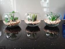 Artificial cactus glass for sale  LEICESTER