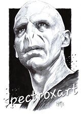 HARRY POTTER ARTE ORIGINAL ""Voldemort"" de Salateen, usado segunda mano  Embacar hacia Argentina