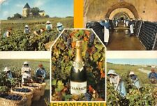 Champagne champagne fabricatio d'occasion  France