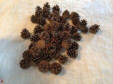 Natural pine cones for sale  Beloit