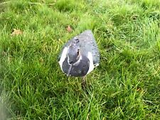 Vintage french shorebird for sale  ROSS-ON-WYE