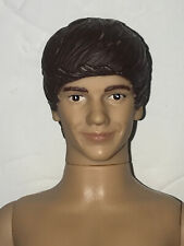 Muñeca Liam Payne One Direction Payne desnuda de colección limitada 2011 como nueva segunda mano  Embacar hacia Argentina