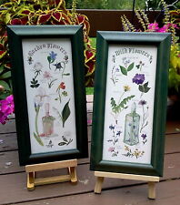 Conjunto de 2 fotos de estampas de flores silvestres para jardim comprar usado  Enviando para Brazil