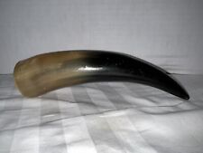 Polished bull horn for sale  Reno