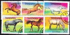 Tanzania pferde gebraucht kaufen  Deutschland