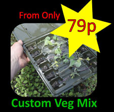 Vegetable plug plants for sale  CARLUKE
