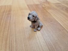 Sitting weimaraner puppy for sale  Shipping to Ireland