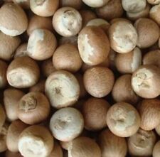 Organic areca nuts for sale  Shipping to Ireland