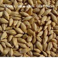 Barley whole grain for sale  Coyle
