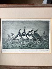 Lapwings sarah chasemore for sale  POOLE