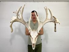 205 whitetail deer for sale  Delphos