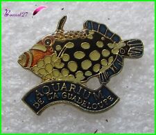 Pin aquarium guadeloupe d'occasion  Pacy-sur-Eure