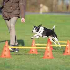 Trixie dog activity gebraucht kaufen  Hemsbach