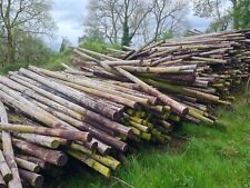 Wooden fencing posts for sale  HEREFORD