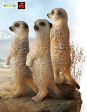 Meerkat standing wildlife for sale  COVENTRY