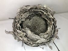 Hornet nest opening for sale  Zimmerman