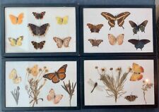 Lot shadowbox insect for sale  Grosse Ile