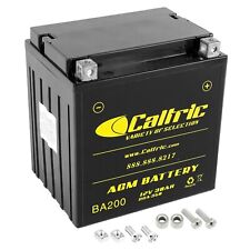 Bateria Caltric 4018013 4014609 AGM para Polaris / 12V 30Ah CCA 350 / YIX30L-BS comprar usado  Enviando para Brazil