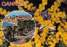 Cannes d'occasion  France