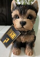 Sitting yorkshire terrier for sale  Cincinnati