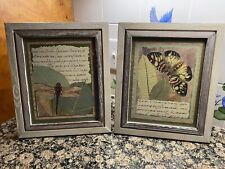 Dragonfly butterfly framed for sale  Loganville