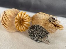 Characterful hedgehog fully for sale  SIDMOUTH