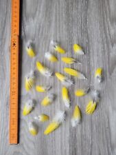 Gelbe vogelfedern papageienfed gebraucht kaufen  Haarbach