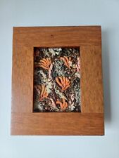 Wooden dried floral for sale  ASHFORD