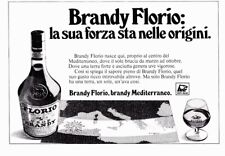 Brandy florio sua usato  Italia