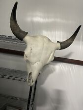 Buffalo head taxidermy for sale  Beebe