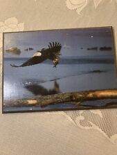 Wall hanging picture for sale  Clarksburg