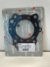 Cylinder head gasket for sale  MACCLESFIELD