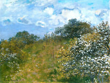 Springtime claude monet for sale  Amesbury