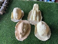 Latex rubber moulds for sale  HORNCASTLE