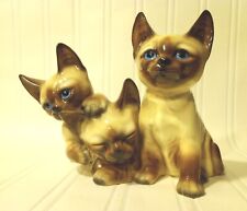 Three siamese kittens for sale  Green Valley