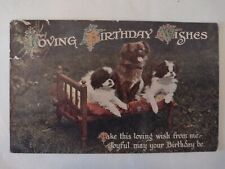 Vintage dog postcard for sale  POTTERS BAR