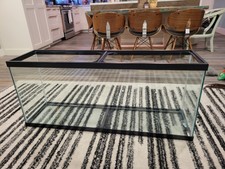 Fish & Aquariums for sale Fish & Aquariums for sale Grover Beach