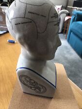 Large phrenology head for sale  ST. NEOTS