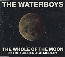 Waterboys single whole gebraucht kaufen  Deutschland