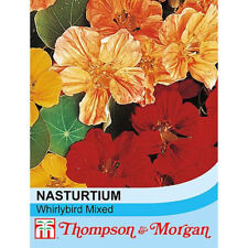 Nasturtium whirlybird mixed for sale  IPSWICH