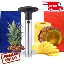 Coupe ananas découpe d'occasion  Unieux