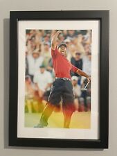 Tiger woods golf for sale  CLITHEROE