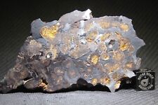 Sericho pallasite meteorite d'occasion  Expédié en Belgium