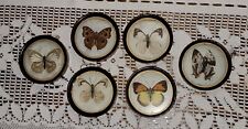 Insects & Butterflies for sale  Welches