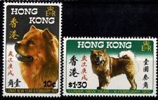 Hong kong 1970 usato  Italia